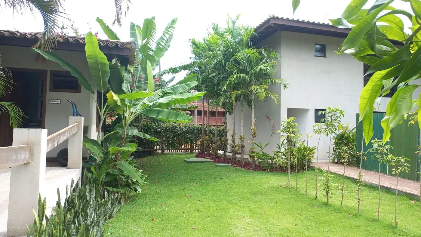 Gramado e bananeiras em frente a edificação